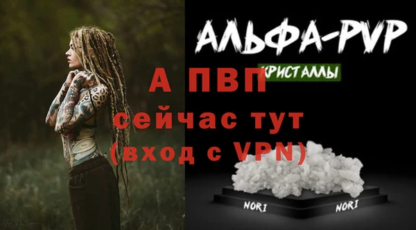 прущие крисы Алексеевка