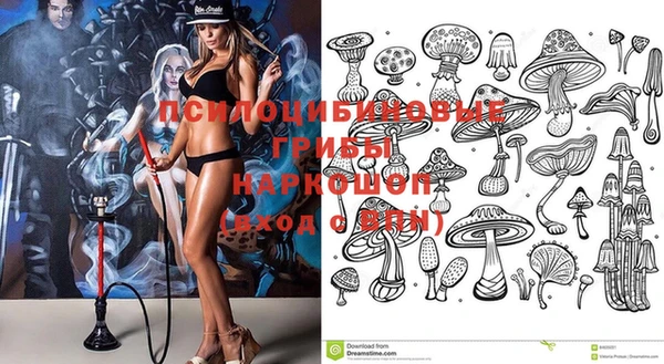 героин Алзамай