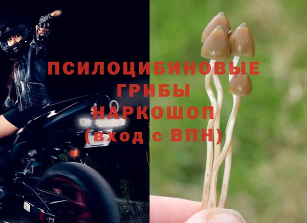 прущие крисы Алексеевка