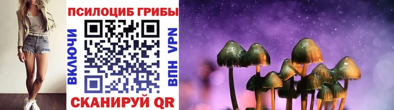 Псилоцибиновые грибы Cubensis  KRAKEN маркетплейс  Яхрома 